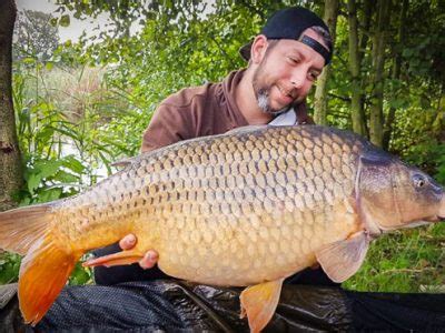 Carp Archives .